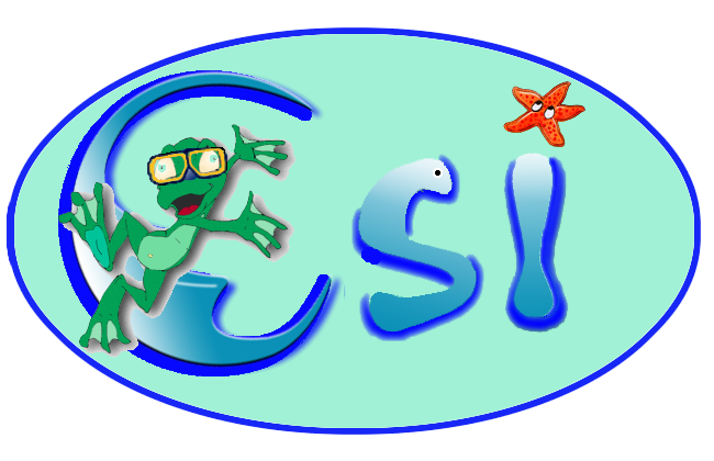 CSI